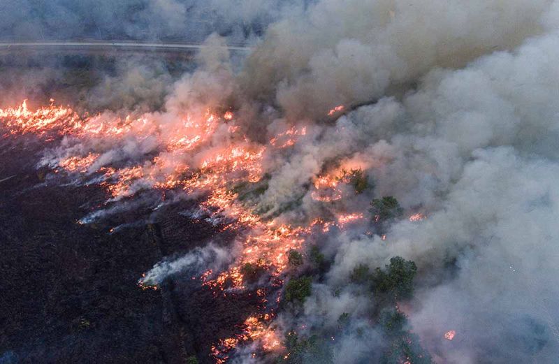 Foto udara api membakar lahan di sisi gerbang tol Rambutan Jalan Tol Trans Sumatera (JTTS) ruas Palembang-Indralaya di Desa Sungai Rambutan, Indralaya Utara, Ogan Ilir (OI), Sumatera Selatan, Kamis (14/9/2023). Derasnya angin di lokasi kebakaran lahan tersebut membuat petugas terkait kewalahan untuk memadamkan kebakaran. ANTARA FOTO/Nova Wahyudi