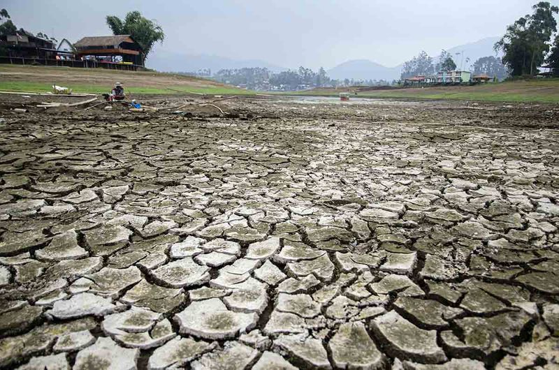 Warga memeriksa sumur dadakan untuk irigasi pertanian di area yang kering kawasan Situ Cileunca, Pangalengan, Kabupaten Bandung, Jawa Barat, Selasa (19/9/2023). Situ Cileunca yang merupakan salah satu pemasok persediaan air baku untuk wilayah Bandung Raya tersebut mengalami penyusutan debit air sekitar 40 persen atau 7 hingga 20 meter akibat musim kemarau panjang sehingga berdampak terganggunya pasokan air bersih ke sekitar 100 ribu warga sekitar. ANTARA FOTO/Novrian Arbi