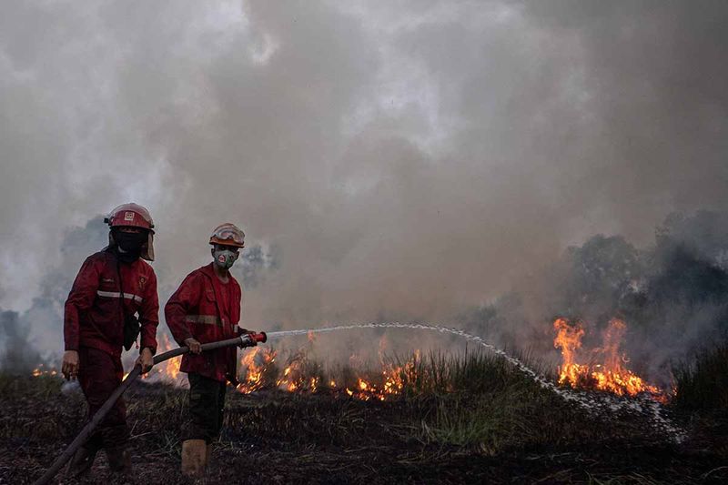 upaya-pemadaman-kebakaran-lahan-di-ogan-ilir-7 Petugas Manggala Agni Daops Banyuasin berupaya memadamkan kebakaran lahan di Desa Muara dua, Kecamatan Pemulutan, Kabupaten Ogan Ilir (OI), Sumatera Selatan, Kamis (21/9/2023). Berdasarkan data dari Balai Pengendalian Perubahan Iklim dan Kebakaran Hutan dan Lahan Wilayah Sumatera sepanjang Januari hingga Agustus 2023 luas kebakaran hutan dan lahan (Karhutla) di Sumatera Selatan mencapai 4.082,8 hektare yang terbagi menjadi 2,947,8 lahan mineral dan 1.135,0 lahan gambut. ANTARA FOTO/Nova Wahyudi