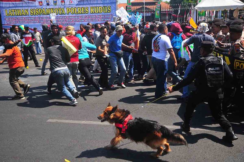 Anggota polisi membawa anjing pelacak untuk membubarkan pengunjuk rasa saat latihan Sistem Pengamanan Kota (Sispamkota) di Kudus, Jawa Tengah, Selasa (26/9/2023). Latihan yang melibatkan personel TNI, Polri, dan instansi terkait itu untuk meningkatkan kemampuan penanganan konflik sosial dan kesiapsiagaan dalam mengantisipasi gangguan kamtibmas pada Pemilu 2024 di wilayah hukum Polres Kudus. ANTARA FOTO/Yusuf Nugroho