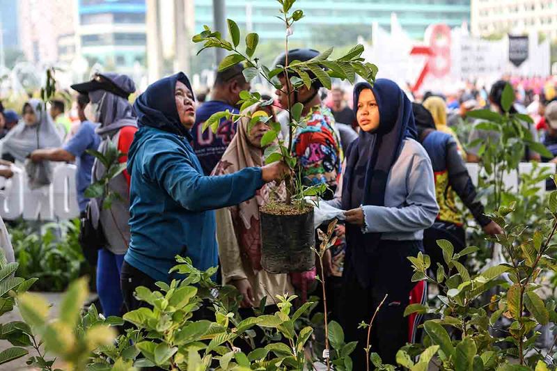 Sejumlah warga memilih bibit pohon gratis saat program Gotong Royong Boyong Pohon di Kawasan Bundaran HI, Jakarta, Minggu (1/10/2023). Kegiatan yang diselenggarakan oleh Kementerian BUMN tersebut membagikan sekitar 100 ribu pohon secara gratis untuk mengajak masyarakat menanam pohon guna menekan permasalahan polusi udara di Jakarta. ANTARA FOTO/Asprilla Dwi Adha