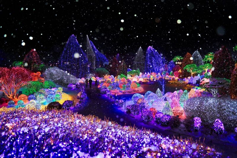 Festival cahaya The Garden of Morning Calm. Sumber: Visit Korea