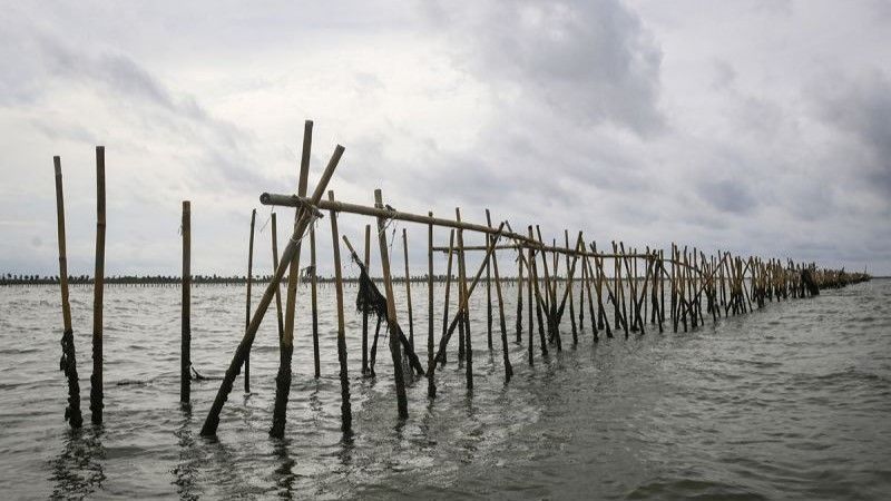 Arsp foto - Pagar laut terpasang di kawasan pesisir Kabupaten Tangerang, Banten, Kamis (9/1/2025). ANTARA FOTO/Sulthony Hasanuddin/rw/pri.